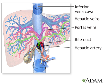 Procedure