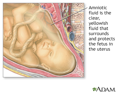 Amniotic fluid