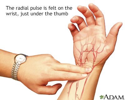 Radial pulse