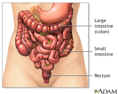 Intestinal gas