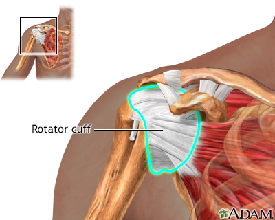 Rotator cuff repair - series - Normal rotator cuff