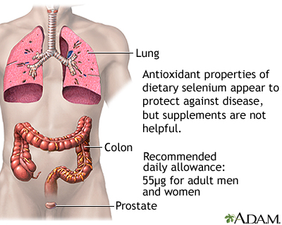 Selenium - antioxidant