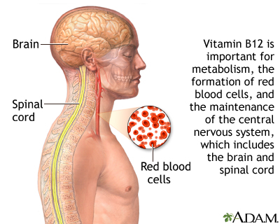 Vitamin B12 benefits