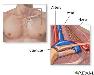 Thoracic outlet anatomy