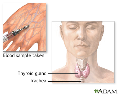 Thyroid function test