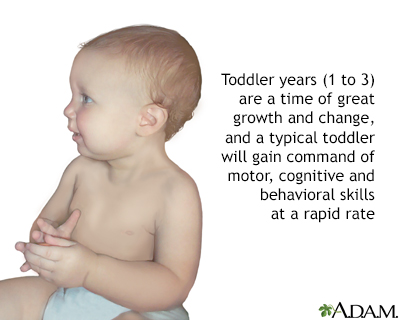 Toddler development