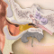 Tips on removing ear wax