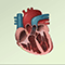Ventricular fibrillation and tachycardia