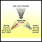 Urea cycle