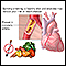 Prevention of heart disease