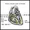 Conduction system of the heart