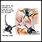 Knee arthroscopy