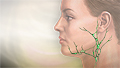 Hodgkin lymphoma