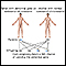 Autosomal dominant genes